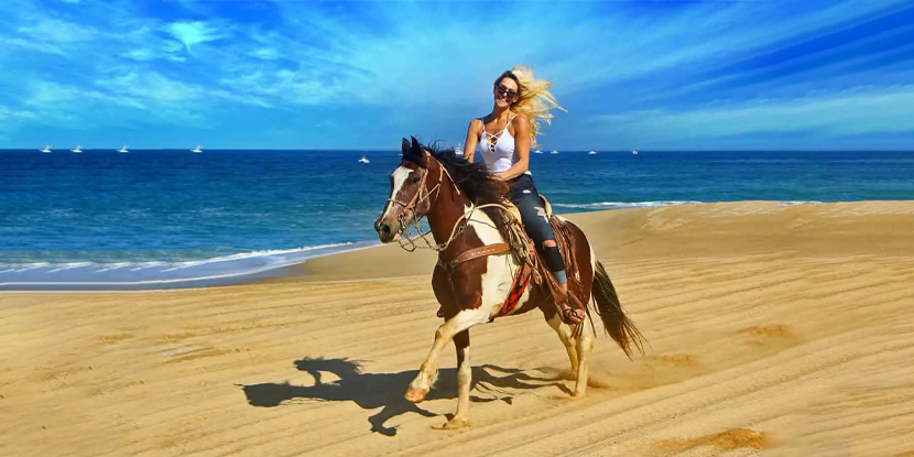 Horse riding tour – 2 hours ( Private Tour ) c_300c8_lg
